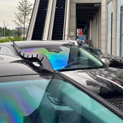 2 Stück Drachenhorn Auto Dach Dekoration