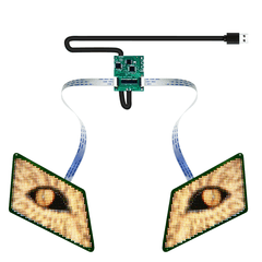 Programmierbares LED-Display für die Augen